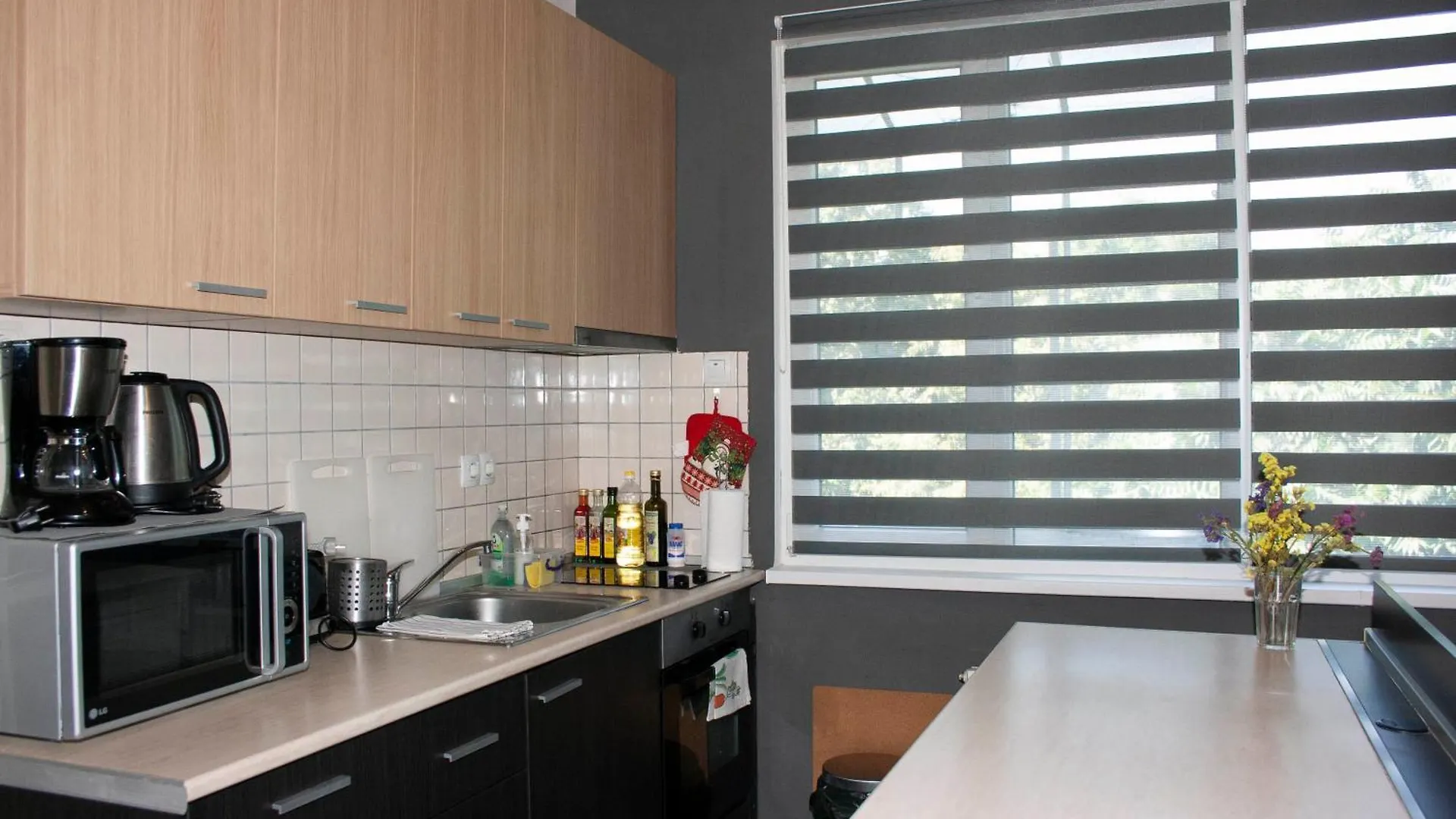 Sunny Central Apartment Sofia